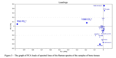 Figure 3 – The graph of PCA loads of spectral lines of the Raman spectra of the samples of bone tissues