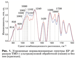 Рис. 1. Усреденные нормализованные спектры КР об- разцов ТМО с ультразвуковой обработкой (синие) и без нее (красные).