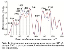  Усреденные нормализованные спектры КР образцов ТМО с ультразвуковой обработкой (синие) и без нее (красные)