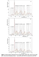  Raman spectra normelized to the average intensity value of the cortical tissue of the bones, where (a) ovariectomy, (b) non – ovariectomy with HAP; (c) ovariectomy with HAP.