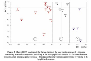 Chart of PCA loadings of the Raman bands of the hard palate samples: 1 – the area containing biomatrix components prevailing in the non-lyophilized samples 2 – the transition area containing non-changing components; 3 – the area containing biomatrix components prevailing in the lyophilized samples.