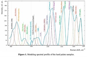 Modeling spectral profile of the hard palate samples.