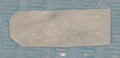 Пластический материал - аллогенный dura mater до подготовки