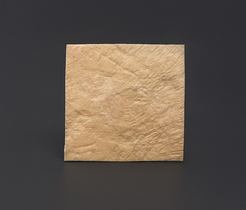 Полоска твердая мозговая оболочка 3 х 3 см ЛИО-87