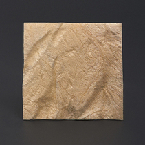 Полоска твердая мозговая оболочка 4 х 4 см ЛИО-89