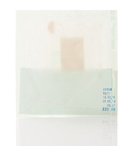 Полоска твердая мозговая оболочка 2 х 3 см ЛИО-90