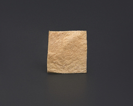 Полоска твердая мозговая оболочка 2 х 2 см ЛИО-91