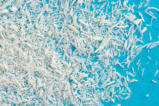 Порошок минерализованный кортикальный ЛИО-116