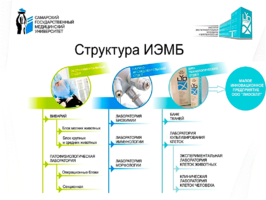 В Самарском банке тканей применяется оригинальный алгоритм изготовления биопрепаратов из тканей человека, защищенный патентами РФ.