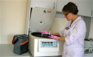 С 1992 года было организовано высокотехнологичное производство лиофилизированных биоимплантатов.