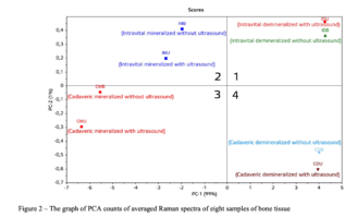 Figure 2 – The graph of PCA counts of averaged Raman spectra of eight samples of bone tissue