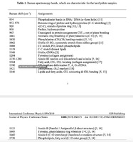 Raman spectroscopy bands, which are characteristic for the hard palate samples