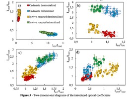  Two-dimensional diagrams of the introduced optical coefficients