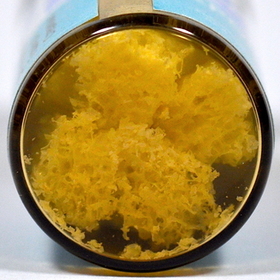 Крошка спонгиозная 5 мл ЛИО-55