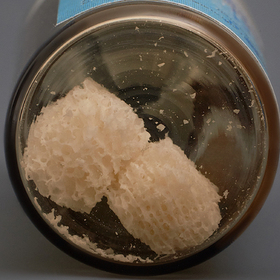 Крошка спонгиозная (кубики), два кусочка ЛИО-57