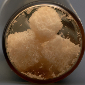 Крошка спонгиозная 4 кусочка ЛИО-59