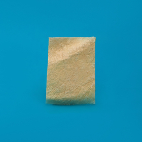 Полоска твердая мозговая оболочка 2 х 3 см ЛИО-90