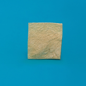 Полоска твердая мозговая оболочка 2 х 2 см ЛИО-91