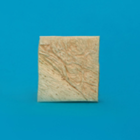 Полоска твердая мозговая оболочка 1,5 х 1,5 см ЛИО-119