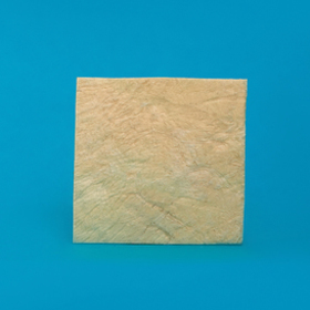 Полоска твердая мозговая оболочка 3 х 3 см ЛИО-87