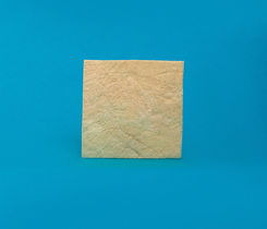 Полоска твердая мозговая оболочка 3 х 3 см ЛИО-87