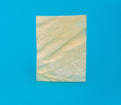 Полоска твердая мозговая оболочка 3 х 4 см см ЛИО-88