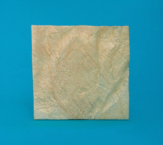 Полоска твердая мозговая оболочка 4 х 4 см ЛИО-89