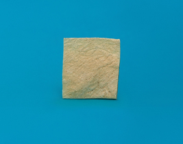 Полоска твердая мозговая оболочка 2 х 2 см ЛИО-91