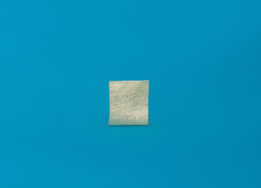 Полоска твердая мозговая оболочка 1 х 1 см ЛИО-92